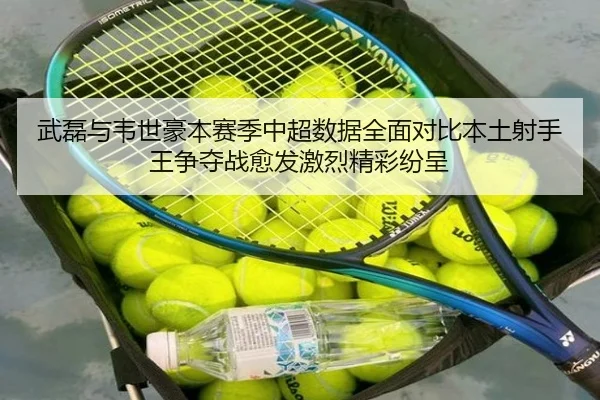 武磊与韦世豪本赛季中超数据全面对比本土射手王争夺战愈发激烈精彩纷呈
