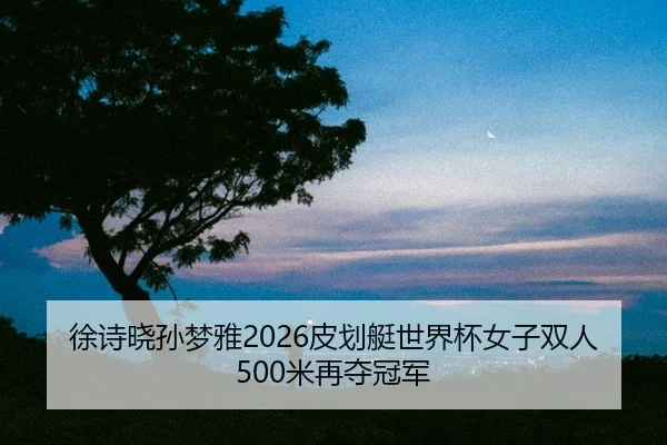 xu-shi-xiao-sun-meng-ya-pi-hua-ting-shi-jie-bei-nv-zi-shuang-ren-mi-zai-duo-guan-jun-2-912.jpg